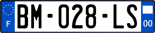 BM-028-LS