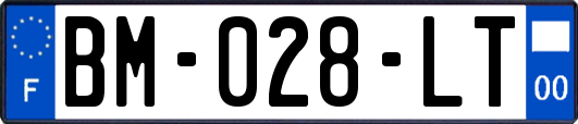 BM-028-LT