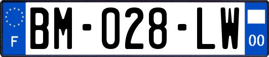 BM-028-LW