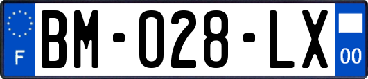 BM-028-LX