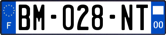 BM-028-NT