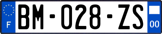 BM-028-ZS