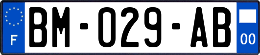 BM-029-AB