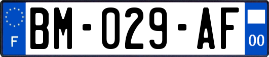 BM-029-AF