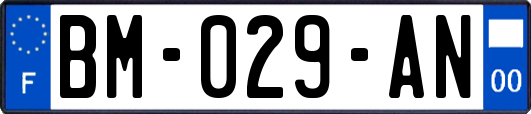 BM-029-AN