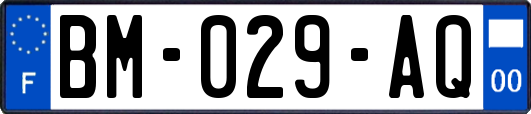 BM-029-AQ