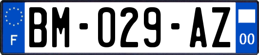 BM-029-AZ