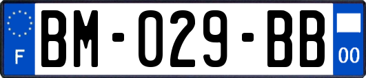 BM-029-BB