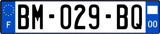 BM-029-BQ