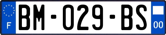 BM-029-BS