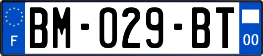 BM-029-BT