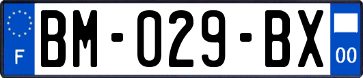 BM-029-BX