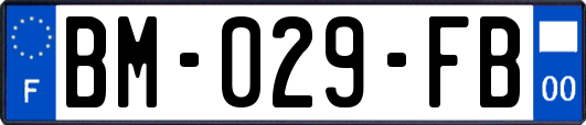 BM-029-FB