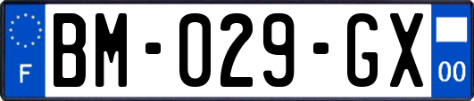 BM-029-GX