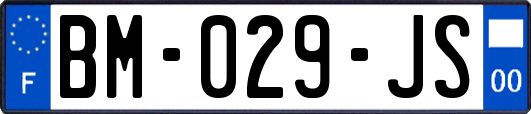 BM-029-JS