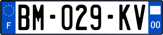 BM-029-KV