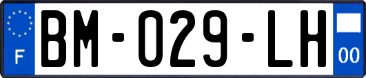 BM-029-LH