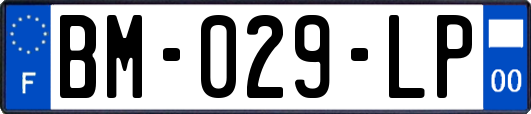 BM-029-LP