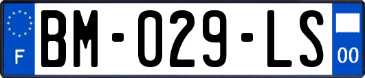 BM-029-LS