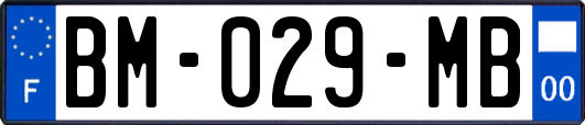 BM-029-MB