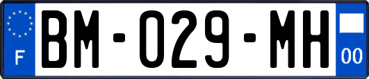 BM-029-MH