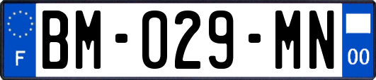 BM-029-MN