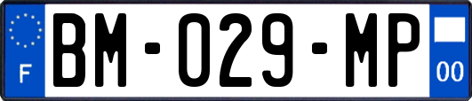 BM-029-MP