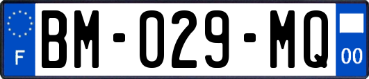 BM-029-MQ