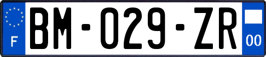 BM-029-ZR