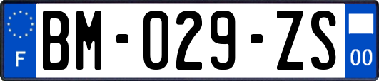 BM-029-ZS