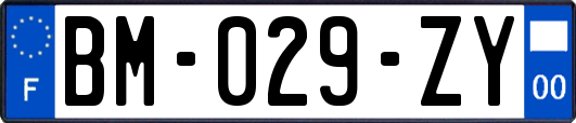 BM-029-ZY