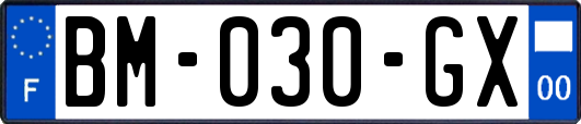 BM-030-GX