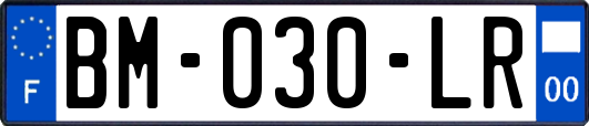 BM-030-LR