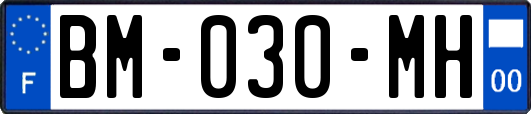 BM-030-MH