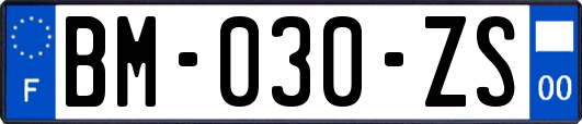 BM-030-ZS