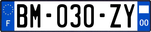 BM-030-ZY