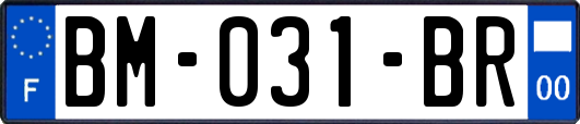 BM-031-BR