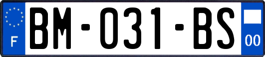 BM-031-BS