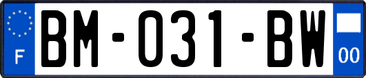 BM-031-BW