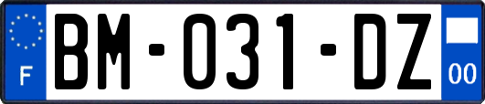 BM-031-DZ