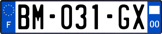 BM-031-GX