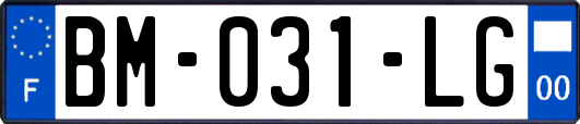 BM-031-LG