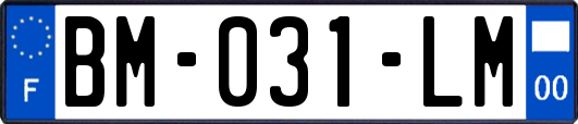 BM-031-LM