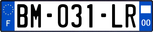 BM-031-LR
