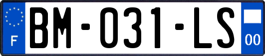 BM-031-LS