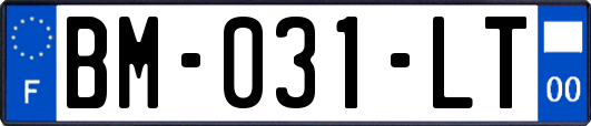 BM-031-LT
