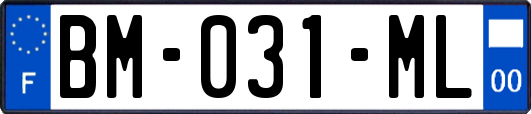 BM-031-ML