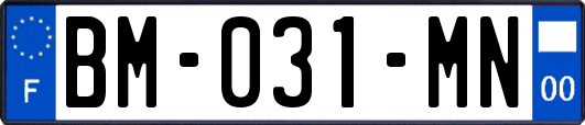 BM-031-MN