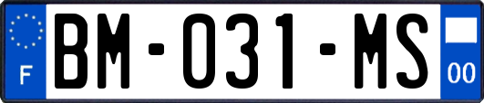BM-031-MS