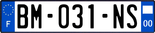 BM-031-NS